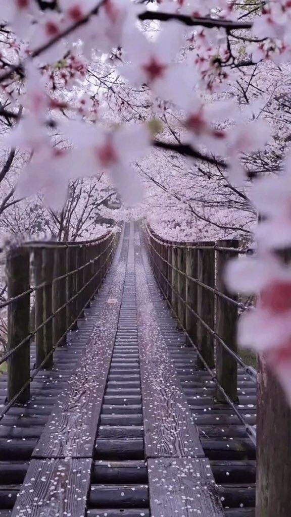 恋愛魂霊視｜片思い彼の気持ち・本心・脈ありを視ます 彼女持ち・キープ・都合のいい女｜報われない恋の本音を深層鑑定 イメージ5
