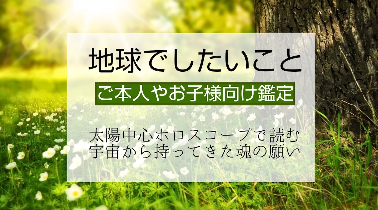 地球でしたいこと・ヘリオメッセージ届けます あなたや、お子様などヘリオチャートで読み解く、魂の目的 イメージ1