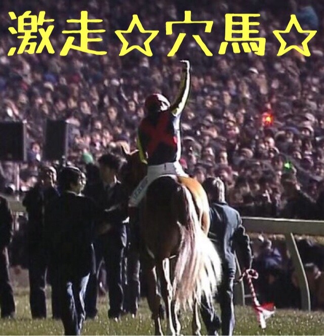 激走☆穴馬☆＆買い目を3レース分提供します！ イメージ1