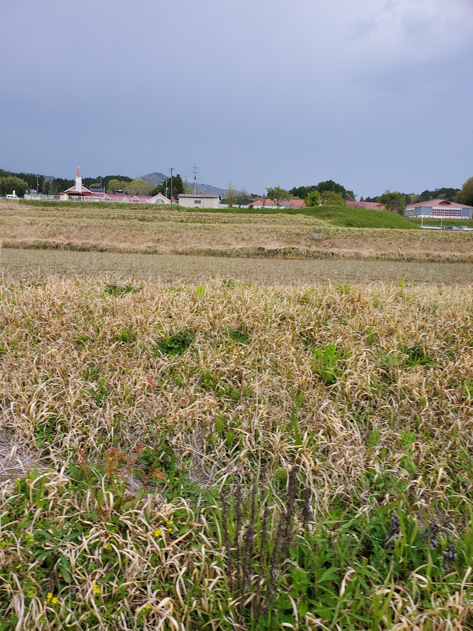 田舎ならではの風景の写真撮ります 田園風景などリクエストの風景写真撮ります！ イメージ1