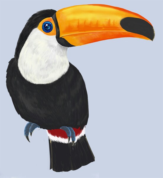 リアルな鳥のイラストを可愛らしく描きます 鳥のふわふわとした質感も表現できます。 イメージ3