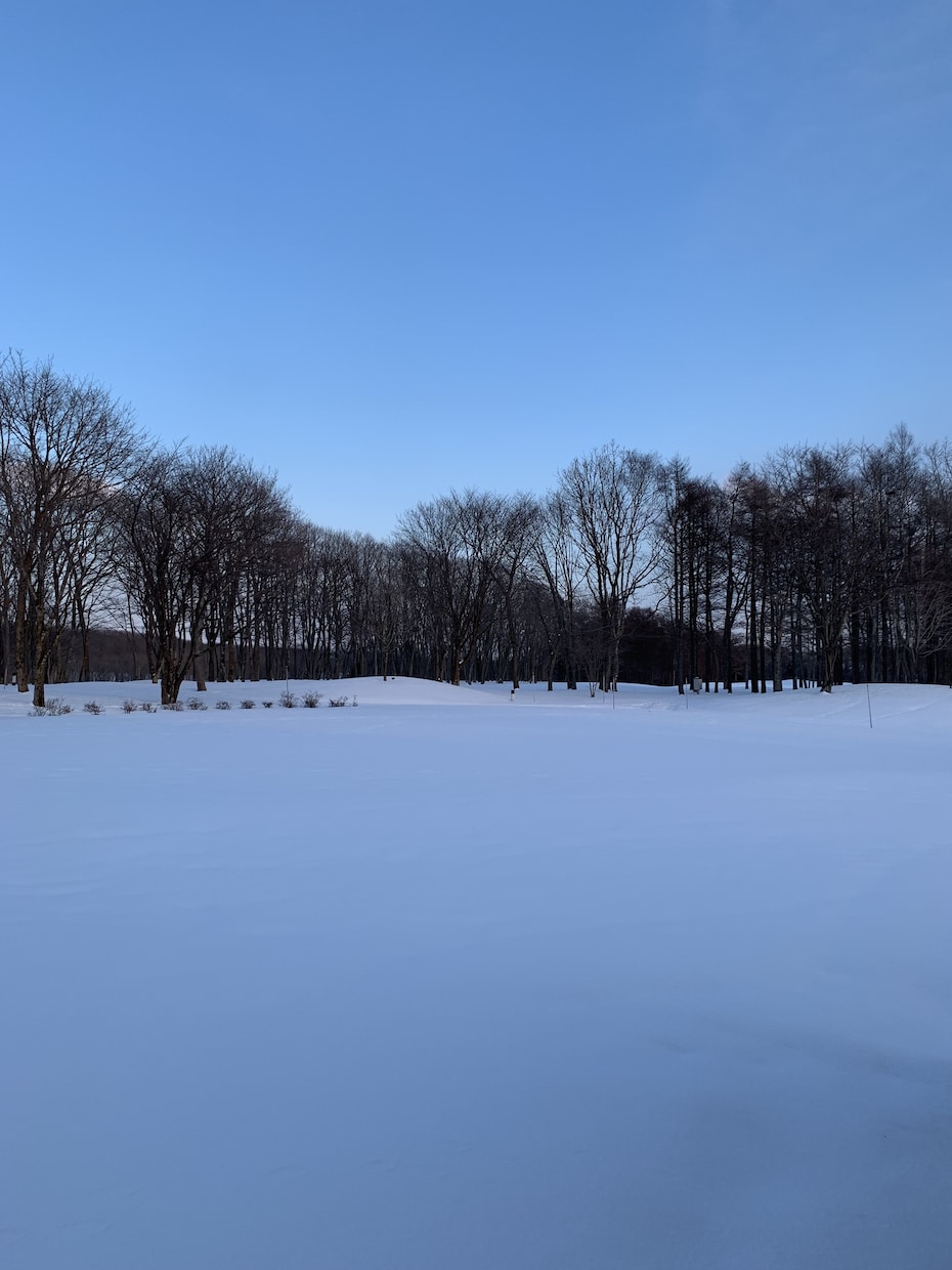 北海道の観光や美味しいもの教えます 北海道で行ってみたい食べたいをプランニングしてサポート イメージ2