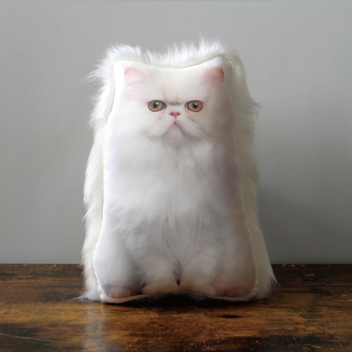 ペットロス　うちの子（犬　猫）のぬいぐるみ作ります 裏面のファーが、虹の橋を渡ったウチの子を撫でている様な感覚に イメージ1