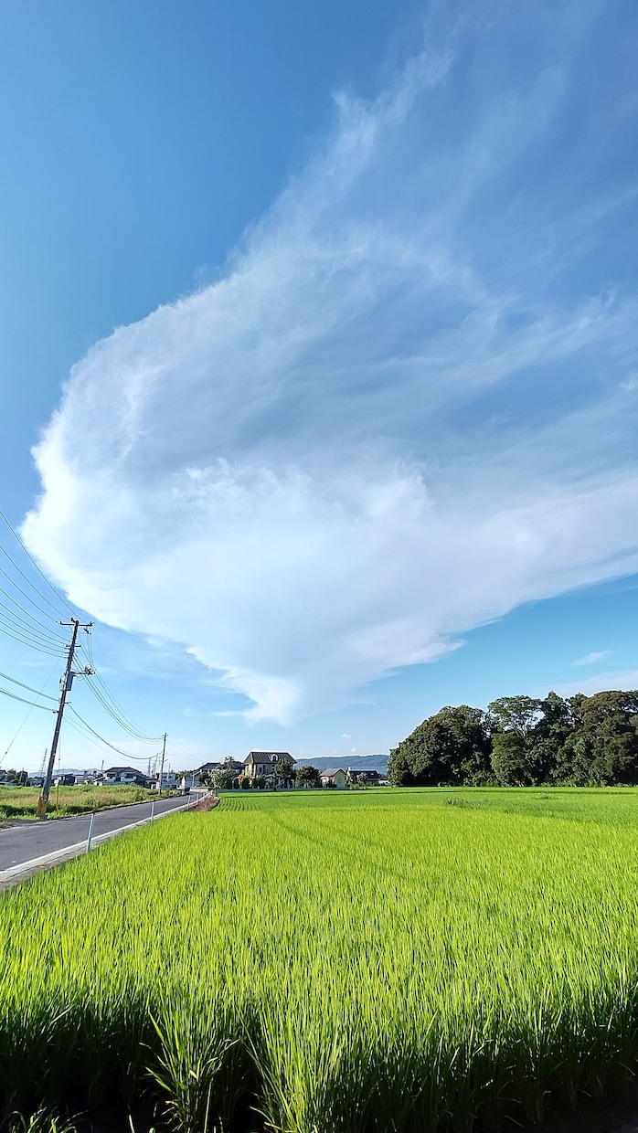 お試し》悩んでいませんか？お話聞きます 貴方のお悩みをカードセッションで紐解きます。 イメージ1