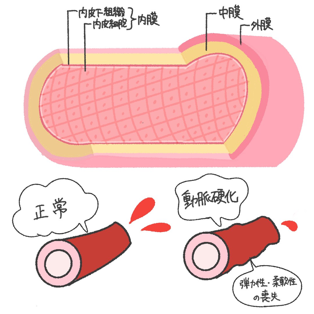 医療系イラスト描きます 薬剤師がシンプルでわかりやすいイラストを描きます。 イメージ2