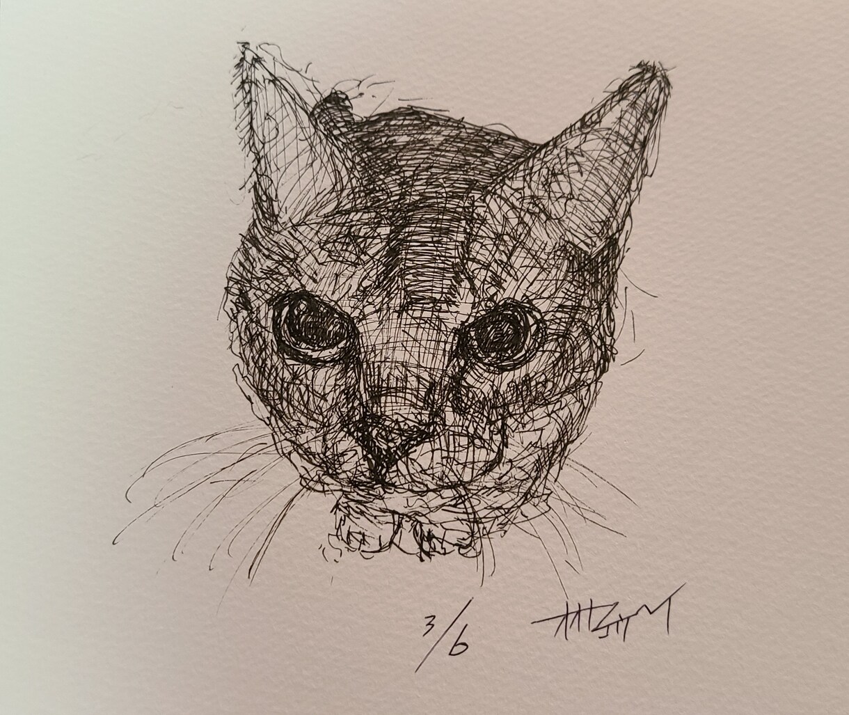 あなたの大切なペットのペン画を制作します 写真とはひと味違う温かみを表現します イメージ2