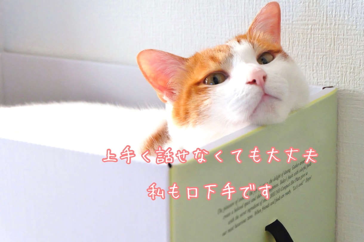 想いのままに♡女友達の私があなたのお話全部聞きます 年齢なんて関係ない✨一緒に和やかな時間を過ごしましょ♡ イメージ4