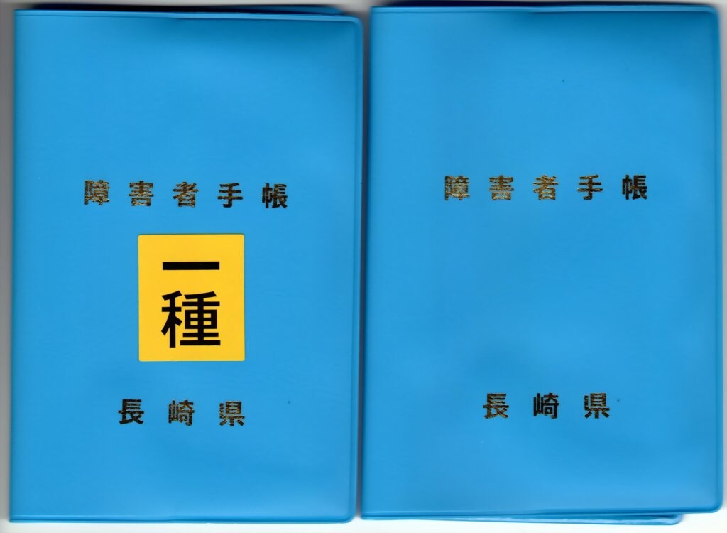障害年金「二級」を取得する秘訣を伝授ます 障害年金「二級」を取得する秘訣を伝授 イメージ1