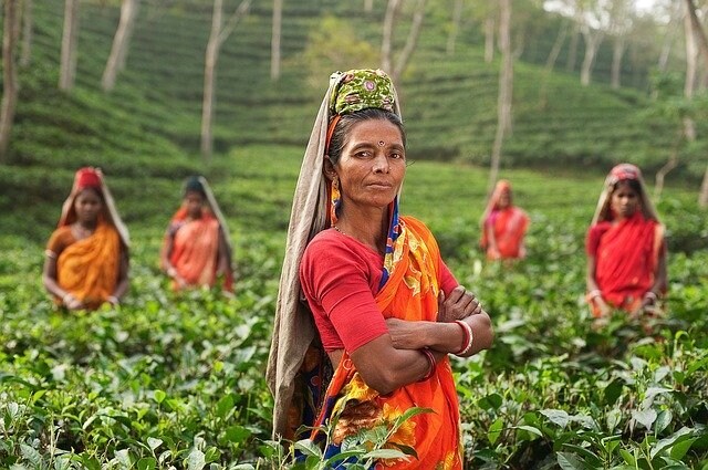 インドに関する産業記事を執筆します ～インドの産業記事をあなたのために作成～ イメージ1