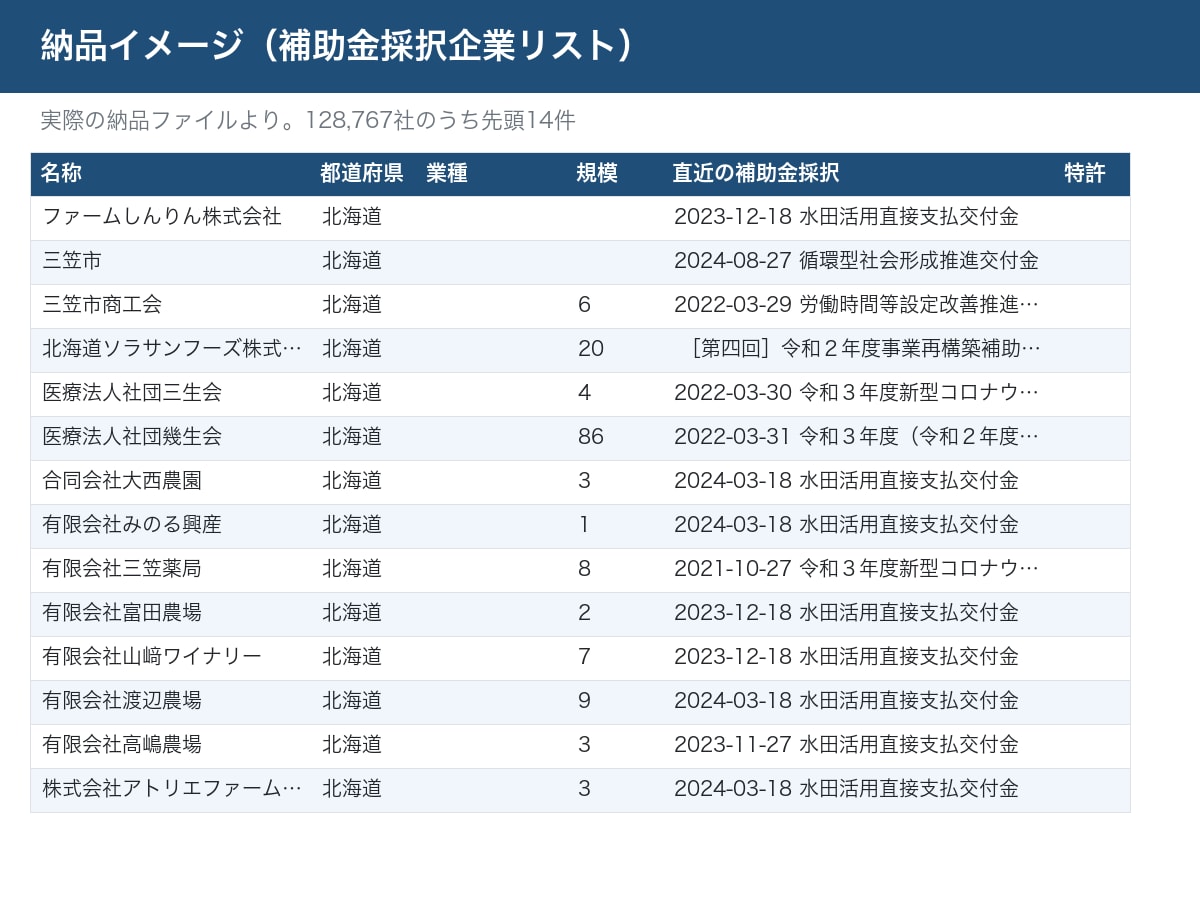 電話番号つきの企業リストを提供します 業種・規模・補助金歴つき・「今投資している会社」が分かる イメージ2