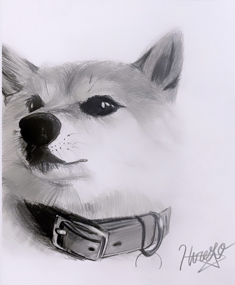 B3も可！愛するペットをお描きし、現物を届けます 愛するペットへのプレゼントいかがでしょう イメージ3