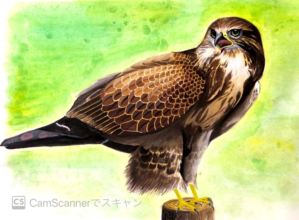 ペット等動物のデッサン、イラストお描きします 大切な家族の思い出を絵に残しませんか？温かい絵お届けします。 イメージ1