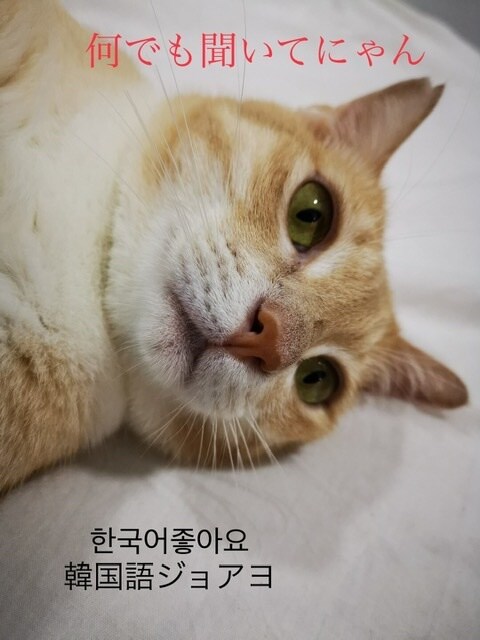 初心者から中級者向け韓国語レッスンをします 誰でも楽しく続けられるので体験して見てください❤️ イメージ1