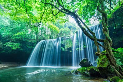 アダルトチルドレンのあなたの最大の味方になります 虐待経験者の私があなたと同じ痛みを分かち合います イメージ4