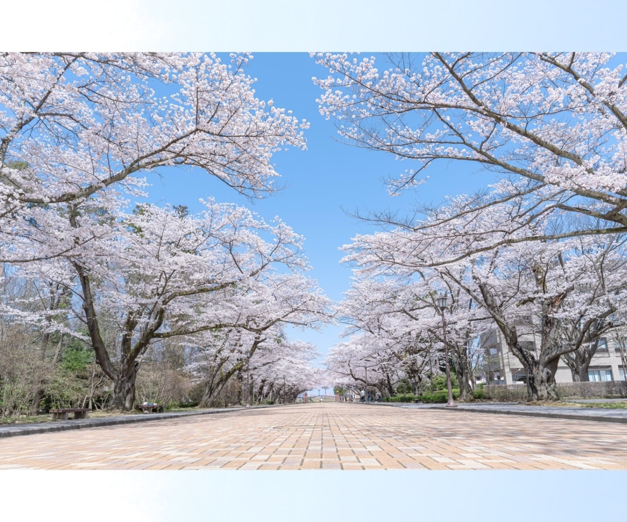 パパママ応援✨現役塾講師がお悩みなどをお聴きします 子供の問題・学校・塾…直接聞けないことや気になる疑問もOK♪ イメージ4