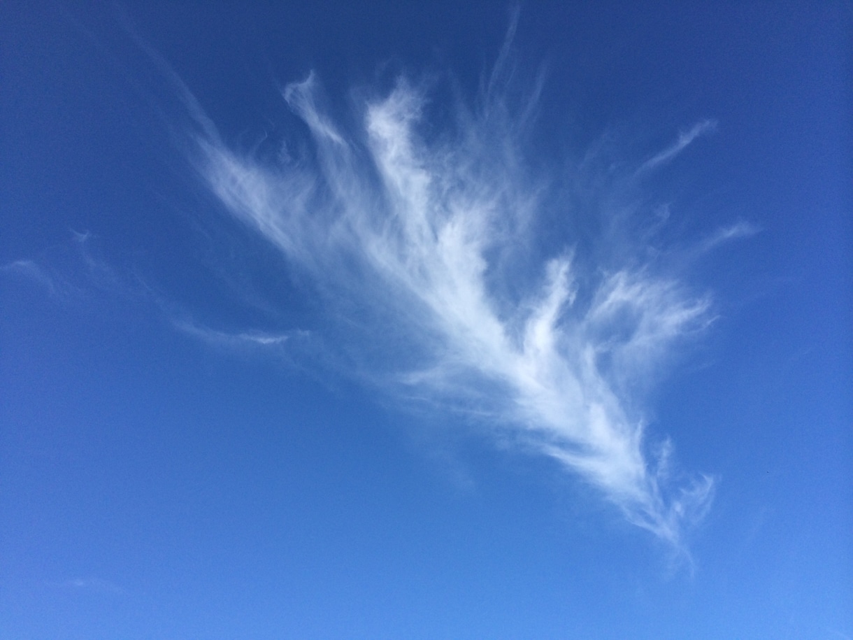 あなたの魂の使命と天職をお伝えします 何のために生まれてきたの？私にだって使命があるはず！？ イメージ3