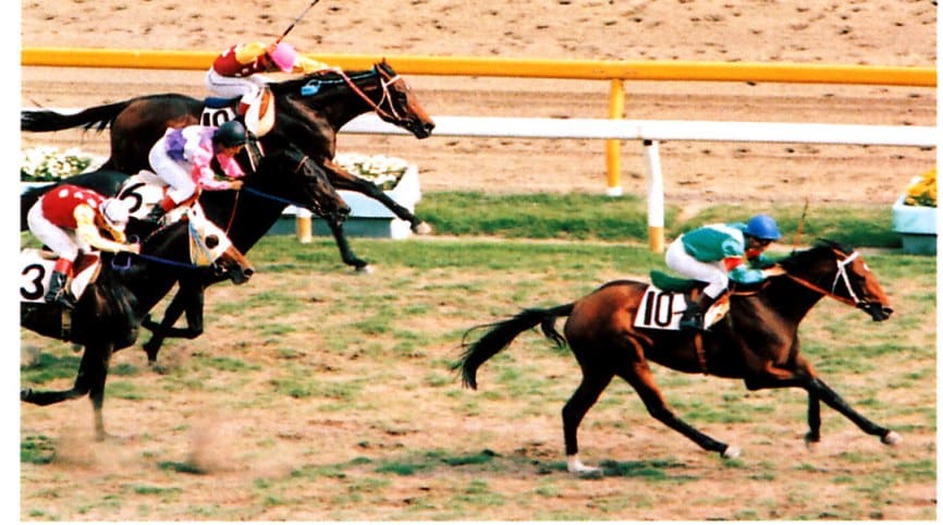 競馬で1日3レース～5レースの予想をお届けします 土日のちょっと時間を楽しむために！1レース6頭以内推奨 イメージ1