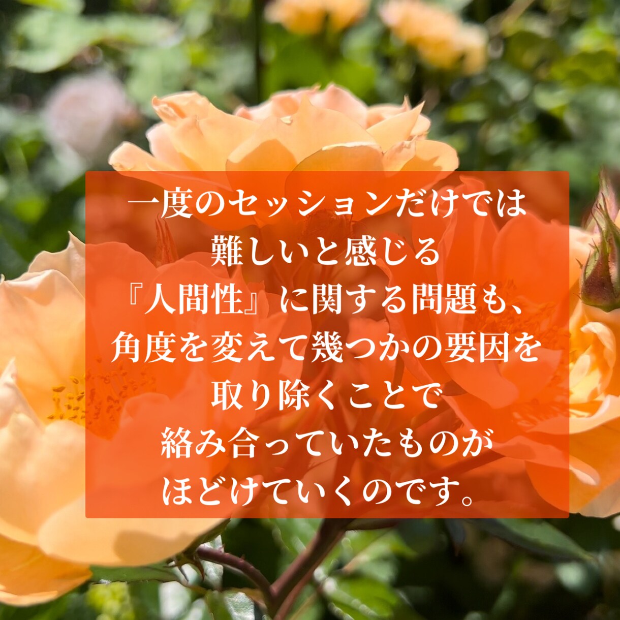 潜在意識のブロック外し！ヒプノ３回スッキリさせます 安心丁寧・有資格ヒプノセラピストが絡み合った悩みを解消！！ イメージ3