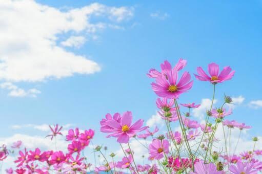 看護師があなたの日常の悩みや不安に寄り添います 前向きな気持ちで明日を迎えられるよう、全力でサポートします。 イメージ2