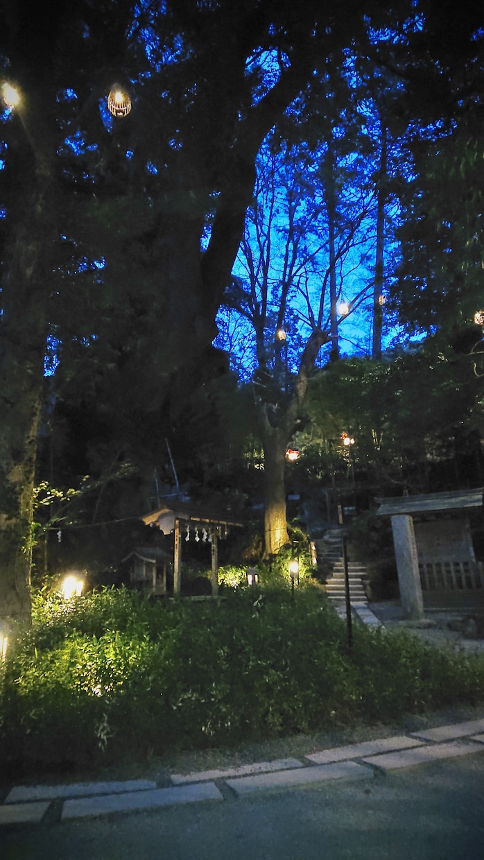 夜の不安を整える癒やしの言葉を届けます 眠る前に、気持ちが軽くなる言葉を一通お届けします。 イメージ1