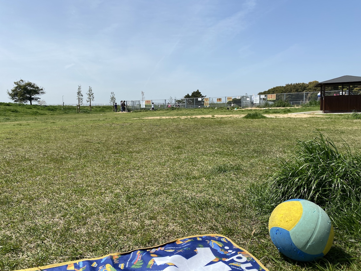 心の疲れをとり心癒やして元気にします 人生経験豊富なあなたの「母さん」となって何でも受け止めます♪ イメージ7