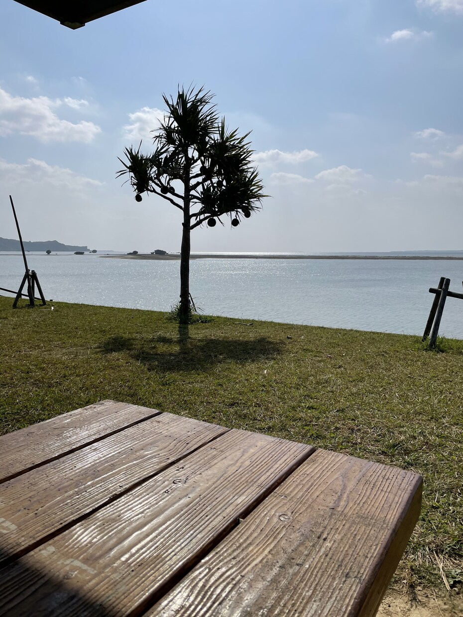 沖縄移住について紹介します 沖縄移住、沖縄観光したいですか？ イメージ1