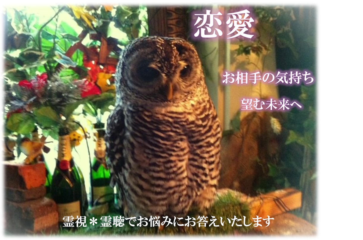あなたの【知りたいこと】を透視します 迷った時の道しるべ✨あなただけのガイドになります☆彡 イメージ2