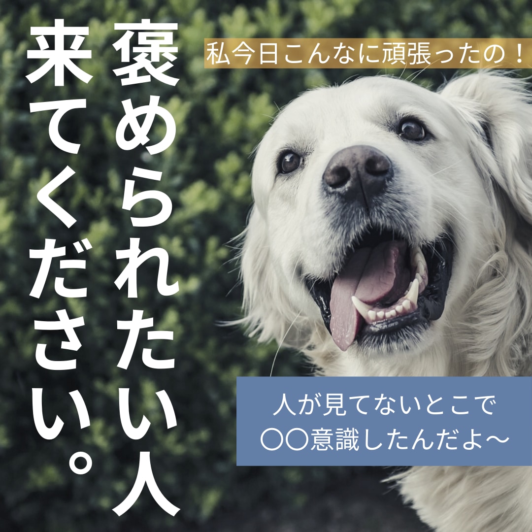 誰も気づいちゃくれない、あなたの頑張りを褒めます 褒められて伸びるタイプなのに誰もほめてくれない！という人向け イメージ1