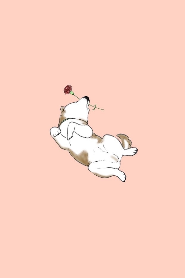 大切なペット様のイラスト壁紙作成します 1枚のお写真から壁紙としても1枚絵としても楽しめるイラストを イメージ1