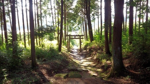 精霊や式神、天使などの存在をパートナーにしている方々へ 現在の関係性などを占います イメージ3