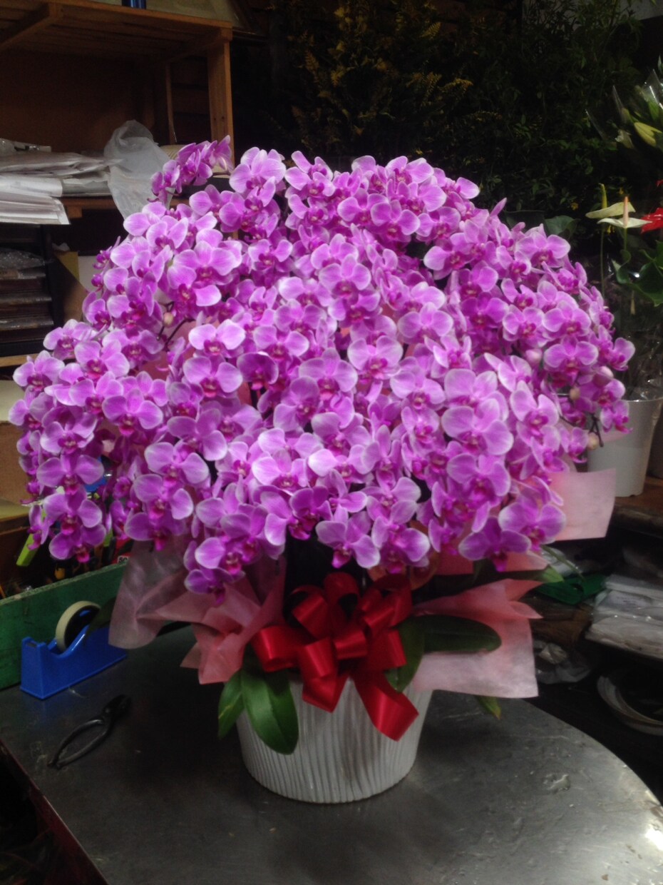 ギフトにする花のプレゼント商品の見方教えます 古いお花高く買わされてませんか？ イメージ3