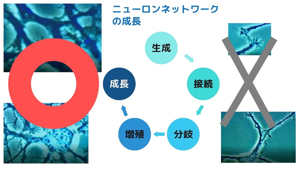 小学生★社会【苦手克服・中学受験】　完全対策します 塾・家庭教師で伸び悩み…　⇒でも大丈夫！　ポイント画像も贈呈 イメージ2