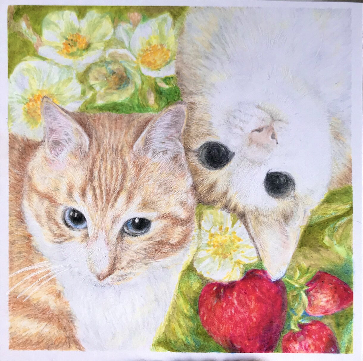 大切なペットをリアルで優しい絵画にいたします 動物を愛する作者が毛の一本一本まで愛情たっぷりに仕上げます。 イメージ3