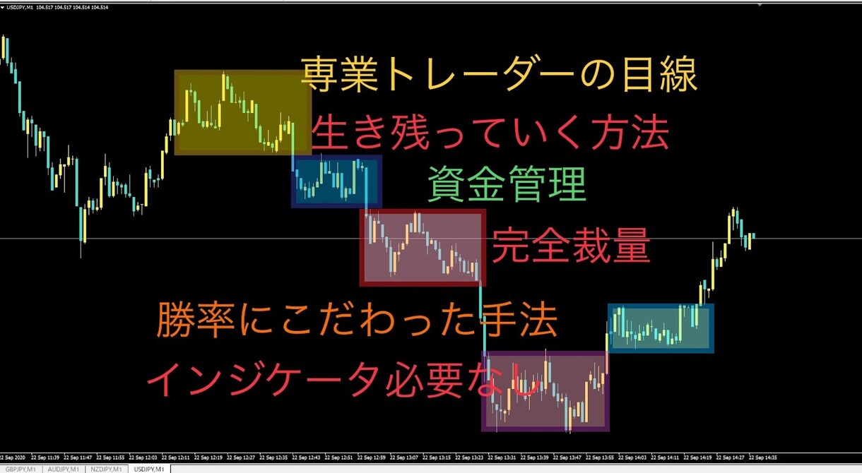 専業トレーダーがバイナリーの勝ち方を全て開示します 。1分足を徹底的に攻略。BOはこれだけを極めれば勝てる イメージ1