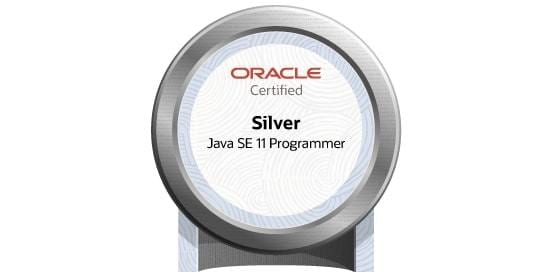 1か月でjavaSliver取得支援します 2年目現役ITエンジニアが教えるjava講座 イメージ1