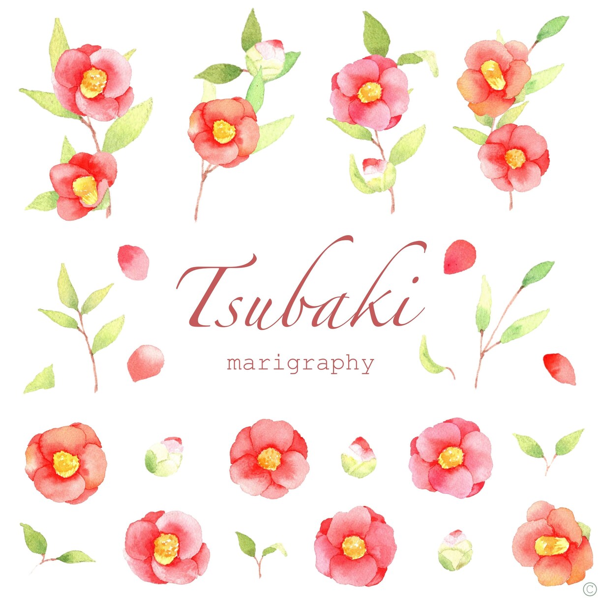 水彩画で植物のイラストを程よくリアルに描きます 〜丁寧なヒアリング〜 温かく優しいタッチが得意です♪ イメージ9