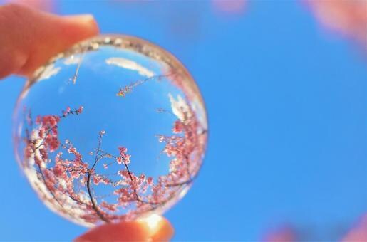 結婚を控えたお二人へ、最良の入籍日をお伝えします 夫婦の未来を明るく照らす☆生年月日から導く吉日を鑑定します イメージ3