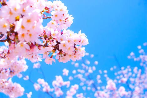 推薦入試の志望理由書の書き方を教えます 書き方に頭を悩ませている高校生の方へ！ イメージ1