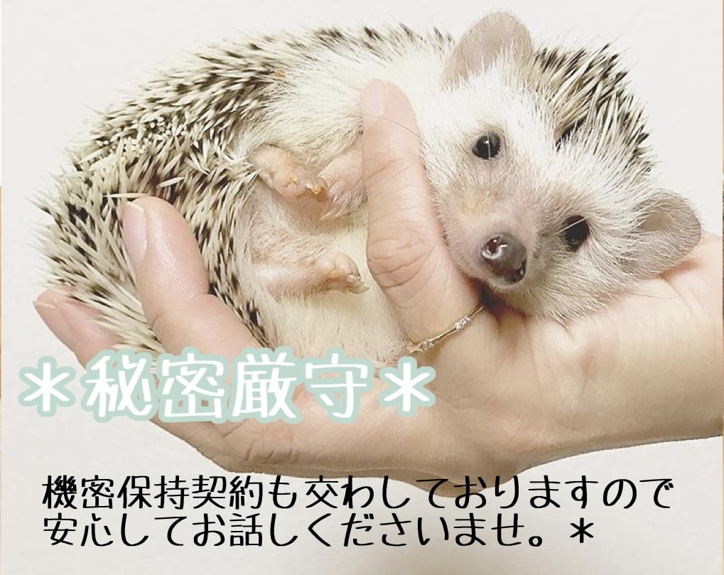寄り添いながらお話をお伺いします 心理カウンセラーによるタロットカードを混じえたお話☪︎* イメージ2