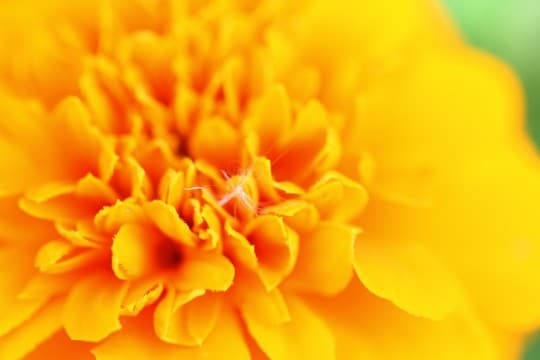 世間話から悩み相談まで！なんでも お話し聞きます 話し相手がほしい方、理解者が欲しい方へ イメージ1