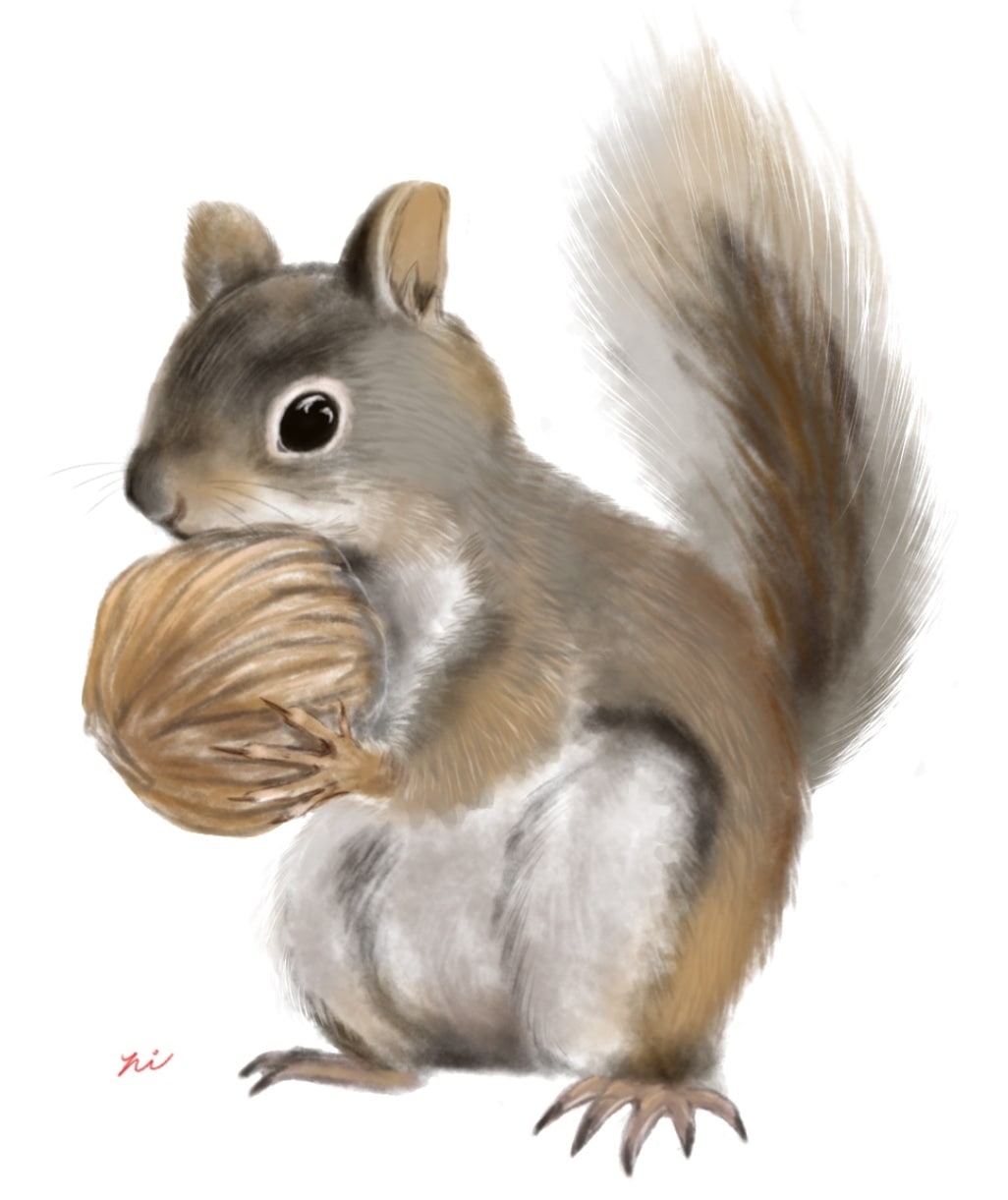 水彩風イラストやマスコット風イラストが描けます あなたの大切な家族や好きな動物をふんわりイラスト化！ イメージ1
