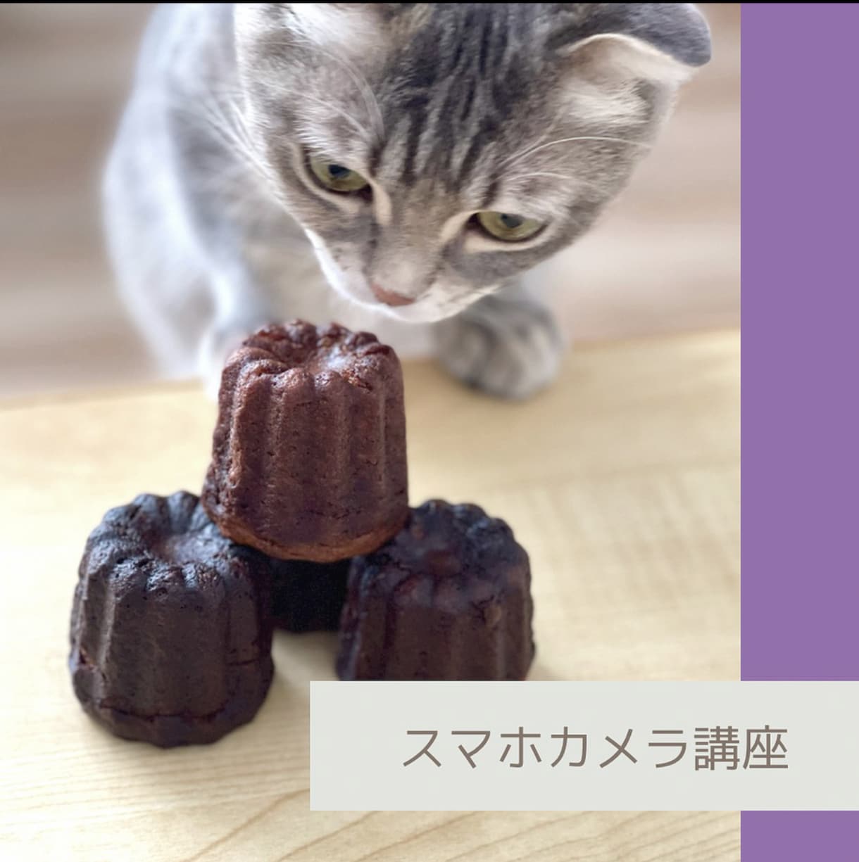 美味しい瞬間をキャッチ！スマホ写真講座で学べます あなたの美味しそうと思った瞬間を素敵な写真に変えませんか？ イメージ2