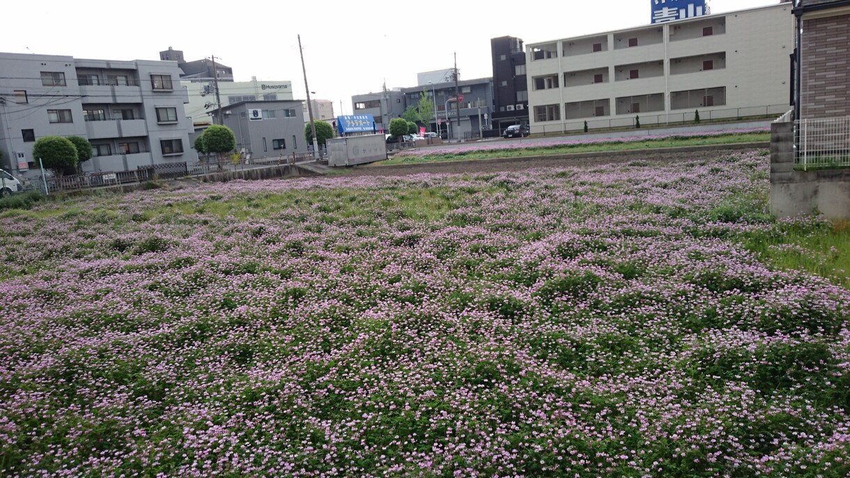 心のお悩み相談室、ご相談に乗らせていただきます 心理カウンセラーを取得しております。 イメージ1