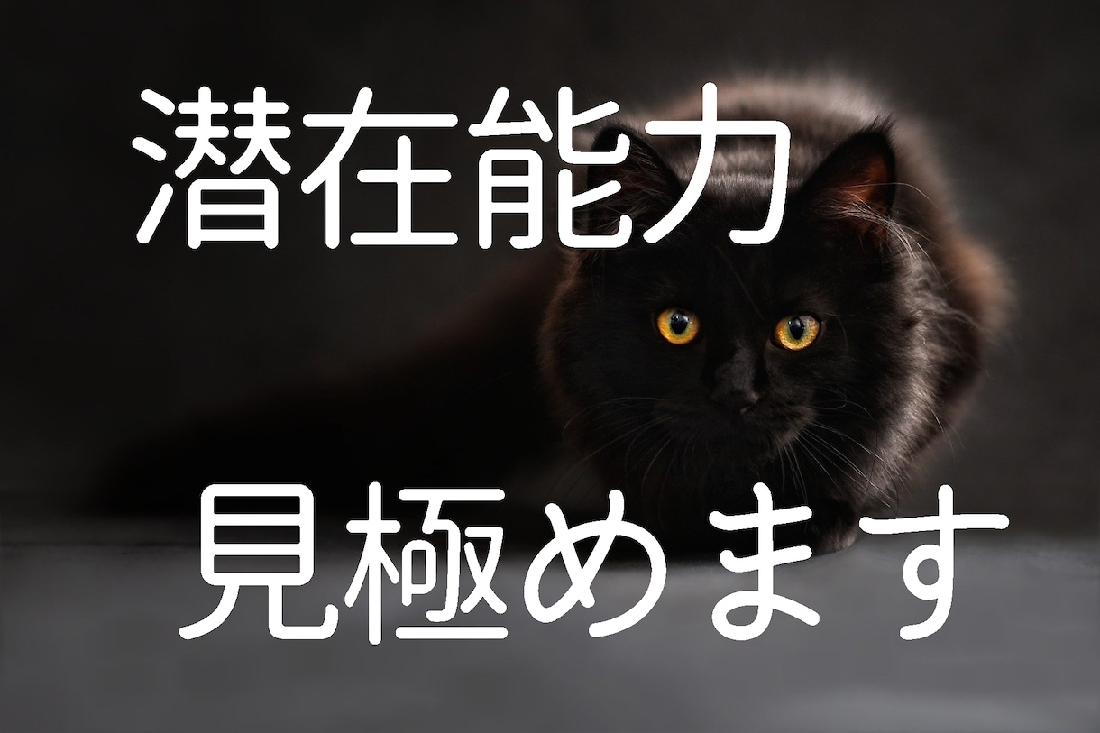 あなたの潜在能力を見極めます 自身の本当の強みを開花させ、多くの結果を手繰り寄せてください イメージ1