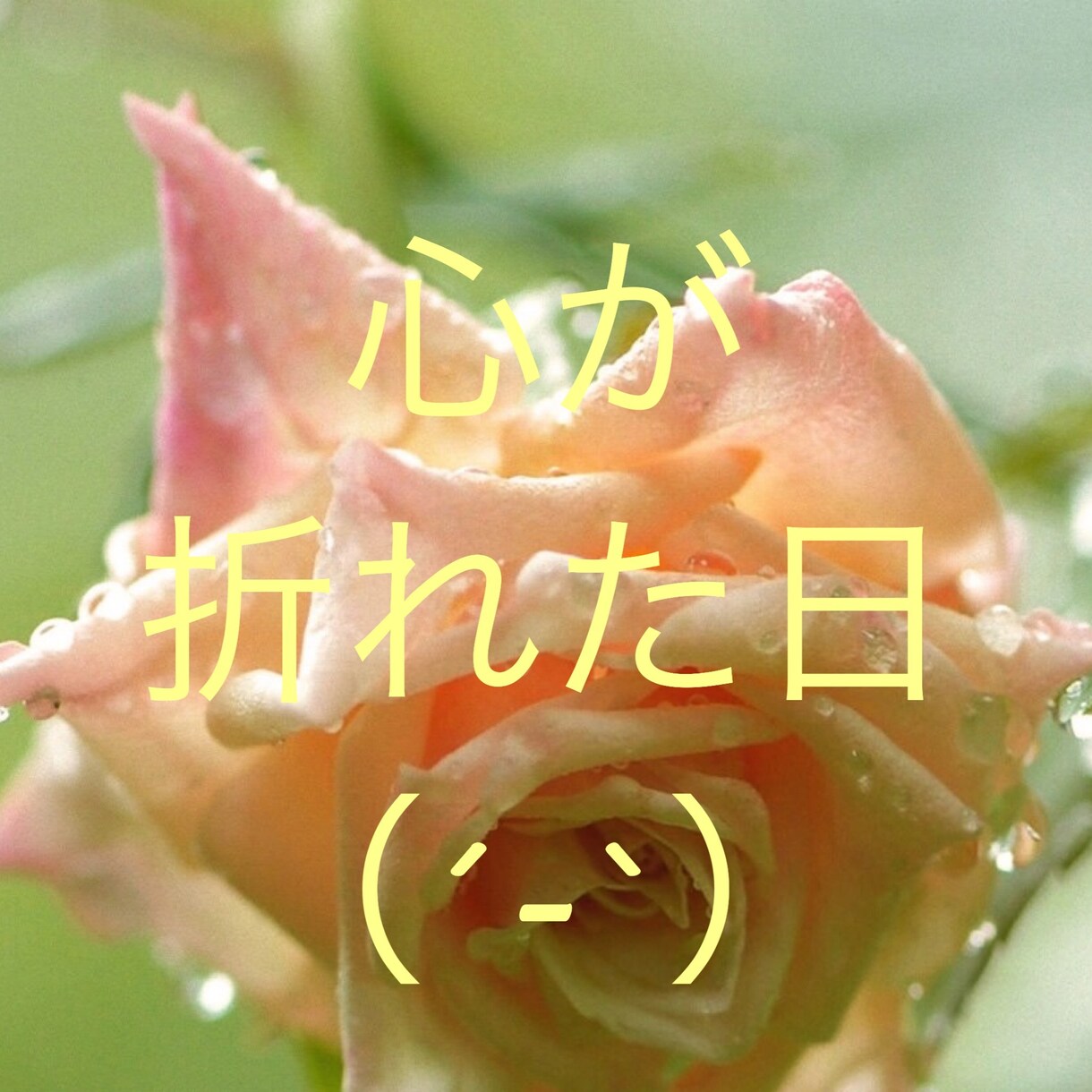 誰かと話したい☘️文章でのやりとり【3日間】します ✨電話は苦手という方♡HSPカウンセラーが丁寧にお返事します イメージ2