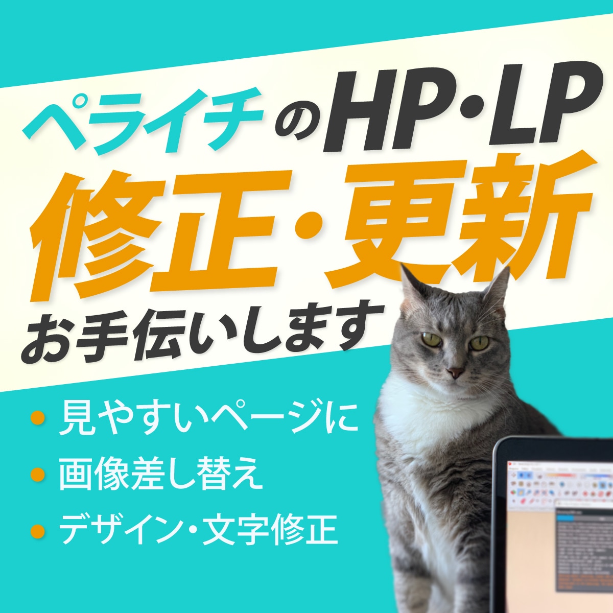 LPやHPを見やすく、わかりやすく修正します ペライチのLPやHPを修正・更新いたします。 イメージ1