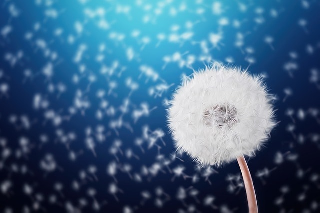 復縁⭐️サヨナラの裏にある彼の本音と可能性を視ます あの別れは本心じゃないかも？彼の未練・復縁のタイミング イメージ5