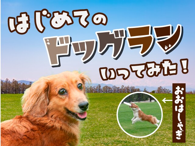 1枚1,000円でサムネイル画像を作成します Youtubeのサムネイルほか、バナーやヘッダーも承ります イメージ6
