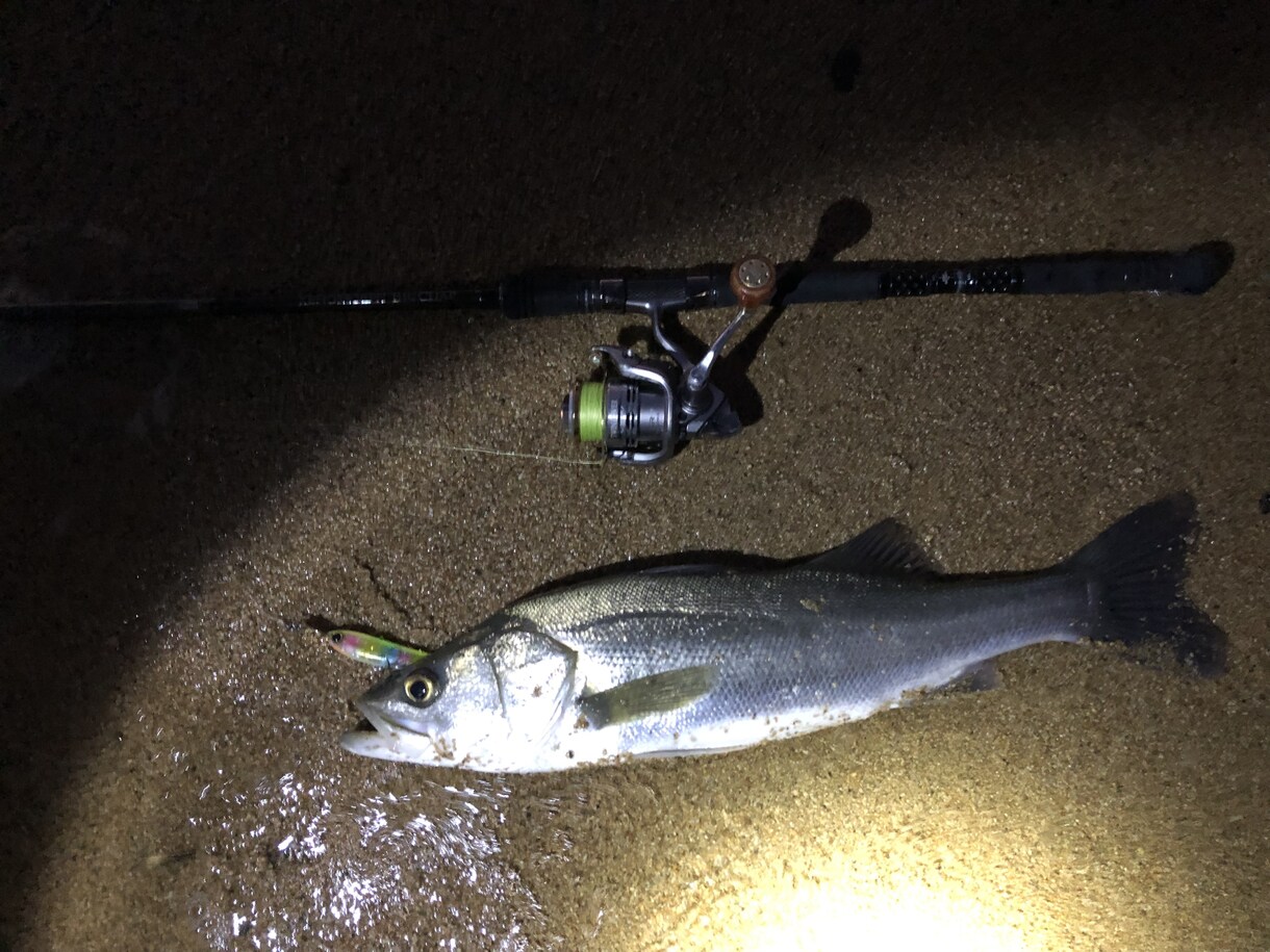 魚の釣り方教えます ロッド操作やルアーアクションなど適材適所に教えていきます。 イメージ2
