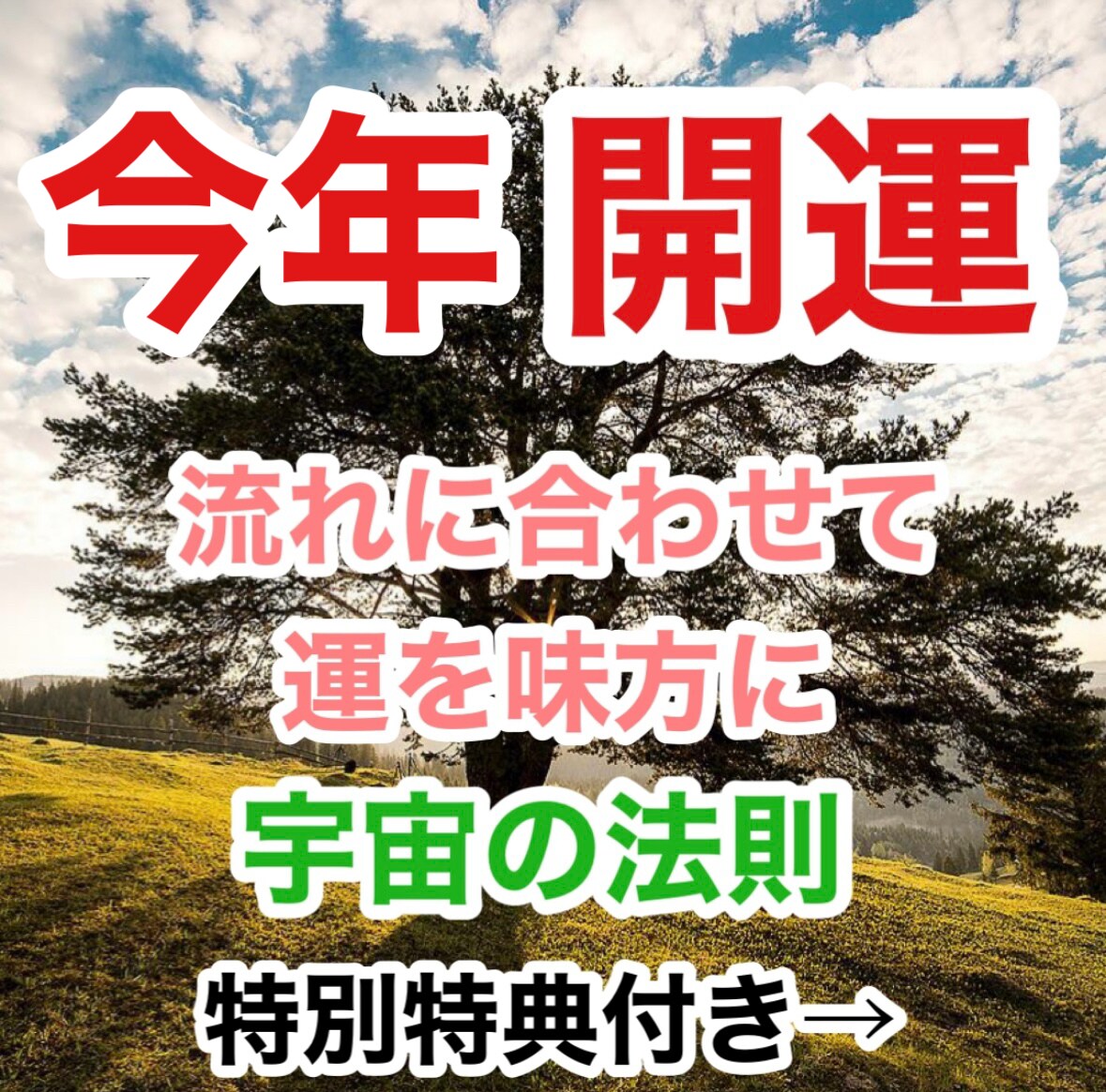 簡単に運を味方につける方法教えます どの流れの時に、どう流れに乗るか指針がわかる イメージ1